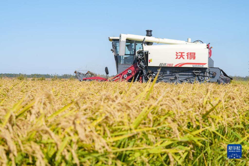 水果机注册送金币
